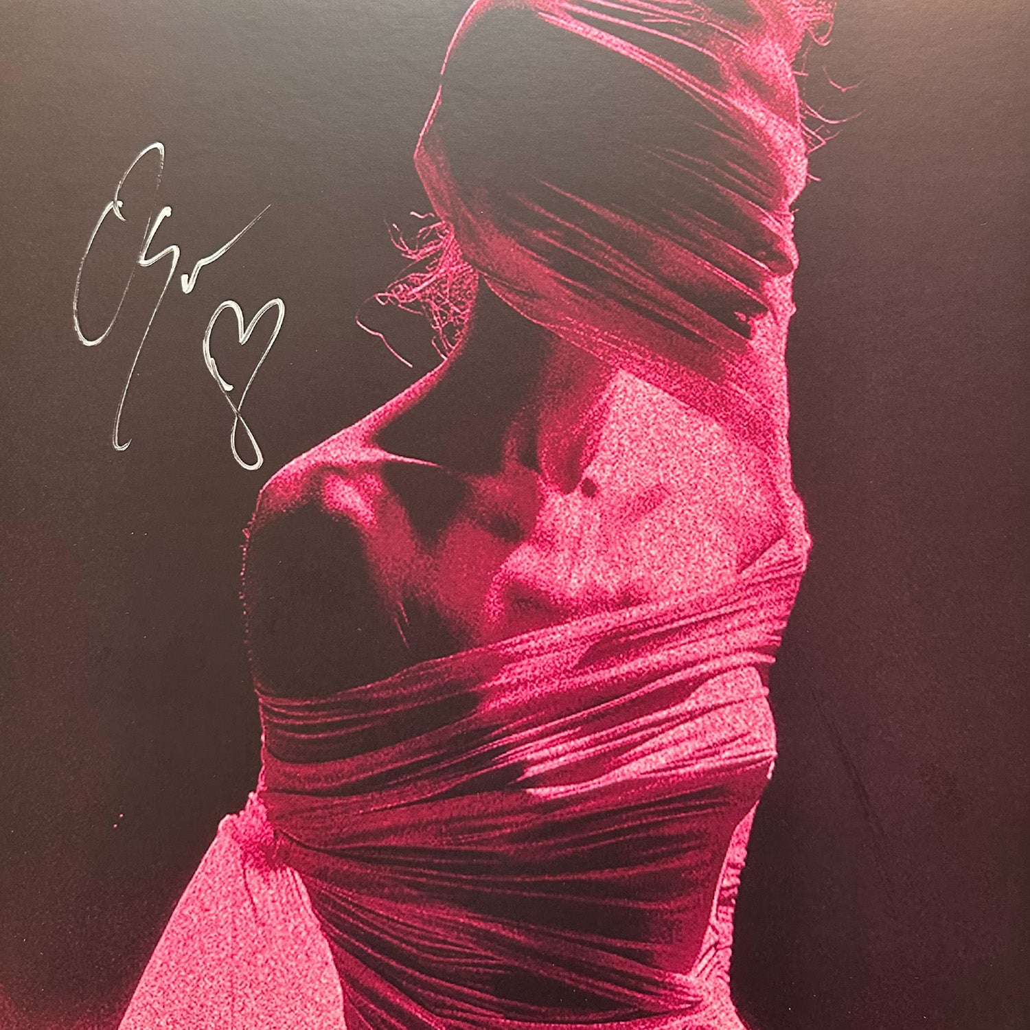 Arankai 'A Portrait Of Red' Oxblood LP (w/ Signed Flat) – Hopeless